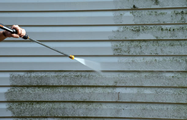 Best Gutter Cleaning  in Arlington, TX